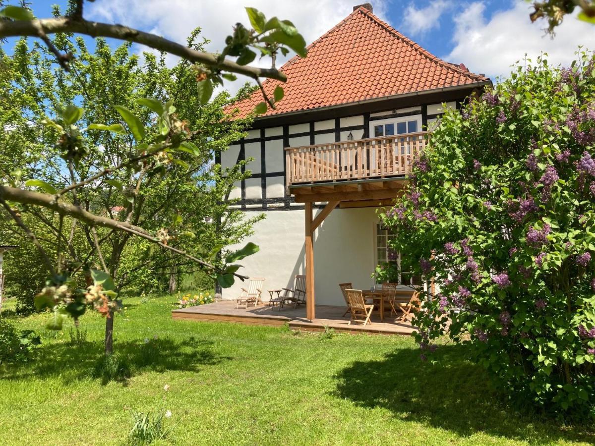 Forsthaus In Waldhessen Daire Bauhaus Dış mekan fotoğraf