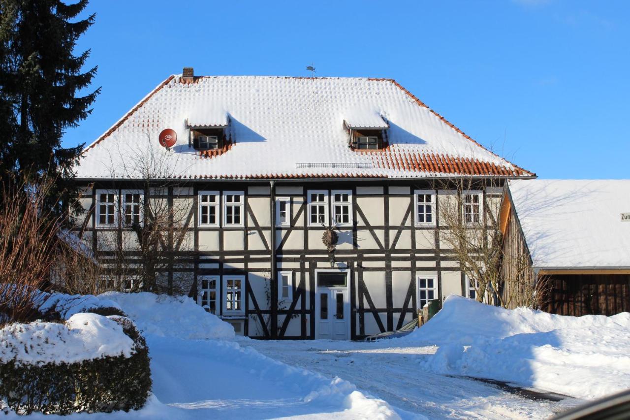 Forsthaus In Waldhessen Daire Bauhaus Dış mekan fotoğraf