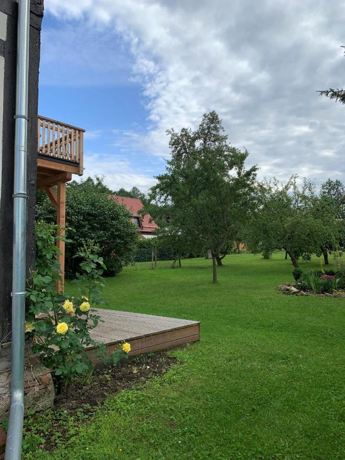 Forsthaus In Waldhessen Daire Bauhaus Dış mekan fotoğraf