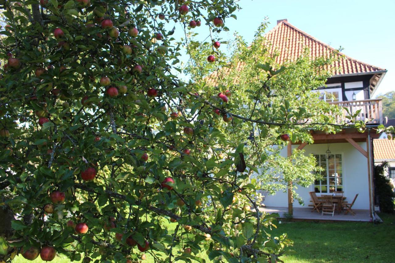 Forsthaus In Waldhessen Daire Bauhaus Dış mekan fotoğraf
